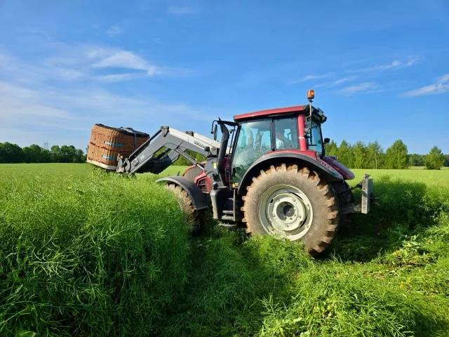 Mums arī beidzot ir bilde rapšos! 🌾 
Pasažieri vēlējās soft landing - grūti bija piemeklēt maigāgu par šo. 
🫡 Mūsu Igauņu crew chief & landowner relations manager @villu.ventonen paveica brīnumus uz zemes, traktors bija klāt 20 minūšu laikā! Es būtu gaidījusi kamēr nokuļ ražu. 🤭

Bet, ja godīgi, es spēlēju paslēpes, jo man sekoja @bicuks. 

Labs nedēļas sākums, ar gana daudz piedzīvojumiem, lai izvilkti līdz nākamai lidojamai dienai. (Ja, ja, atkal lietus nāk, kā pa Jāņiem pirms Jāņiem)

#FlyWithB2Fly | #BildeRapsī | #Kuumaõhupall @b2flyestonia