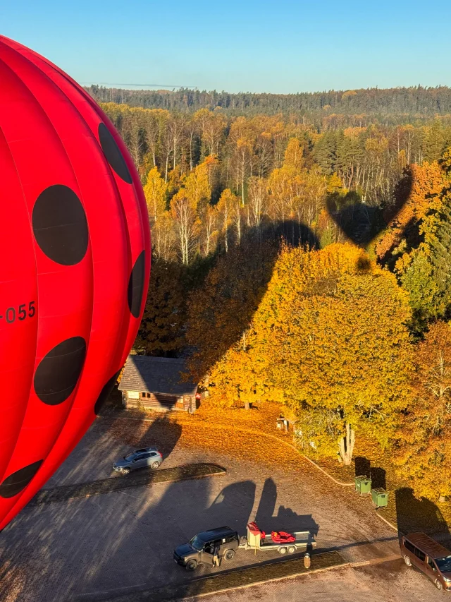 🍂 Zelta rudens — tas, ko Sigulda vislabāk prot.
Kamēr tūkstoši cilvēku ar termosiem, stabiņiem un K2 (jā, tiem pašiem, kas ir kājas, nevis kalns) cīnās par labāko “zelta lapu” kadru Turaidas nogāzēs, mēs šorīt izlēmām: labāk uz visu to paskatīties no augšas.

Un zini kā ir? No turienes tas viss izskatās pavisam citādi.
Zvārtes iezis no augšas — tāds neliels, bet lepns.
Amata, kas parasti šķiet mežonīga upe, no augšas izskatās kā maza, čalojoša urga.
Un tad, kad balons paceļas pāri Līgatnei, un tālumā parādās Turaidas pils, Krimuldas muiža un viss tas zelta paklājs, ko daba šoruden nometusi — tu saproti, ka rudens patiesībā ir premium satura sezona.

Mūsu šī rīta pasažieri – Ilze un Edgars.
Pāris, kas jau gadu glabāja savu kāzu dāvanu – gaidīja “to īsto dienu”. Un, ak vai, tā diena atnāca, ietinusies saulē un zeltā.
Bez pārliecināšanas, bez šaubām – “šodien ir tā diena”. Un viņiem tā tiešām bija.

Mēs tikmēr ķērām visus iespējamos bonus roundus – pāri miglai, pāri mežiem, pāri pilsētām.
Un vienīgais, ko varējām pateikt, nosēžoties:
Nu, nav labāka veida, kā baudīt rudeni. 🎈

⸻

📍Zvārtes iezis – Līgatne – Turaida – Sigulda
☀️ Zelta gaisma, zelta lapa, zelta noskaņa
💛 Un cilvēki, kas atnāk ar smaidu, un aizlido ar vēl lielāku

#flywithb2fly #zeltaRudens #gaisabalons #Sigulda #Turaida #Līgatne #LatvijaNoAugšas #flywithus #autumnvibes #balloonflight